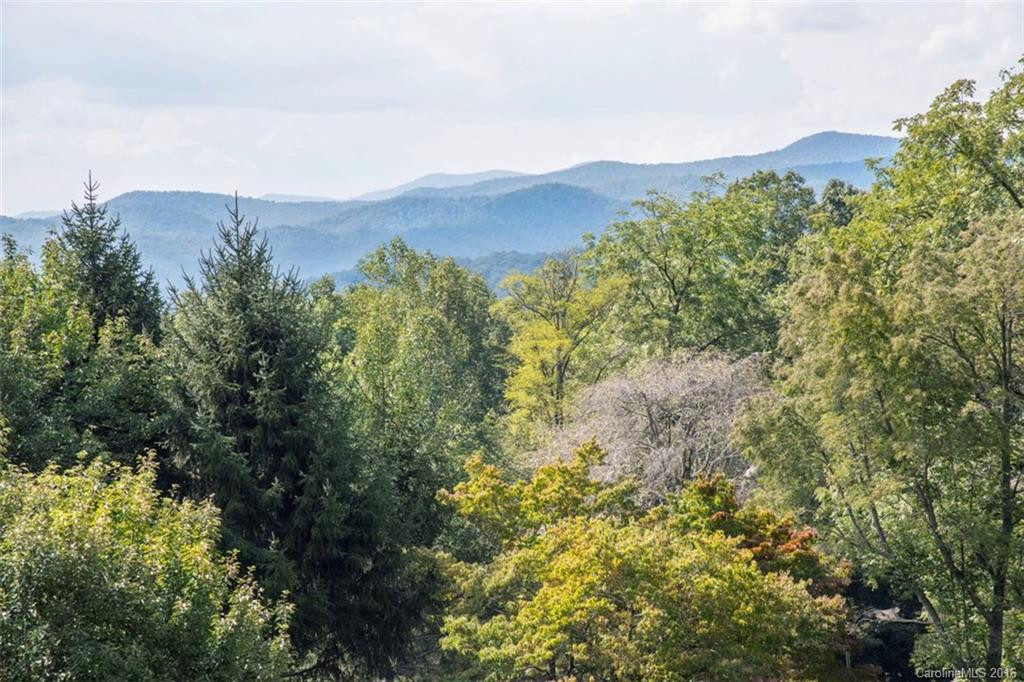4294 Greenville Highway - Photo 2