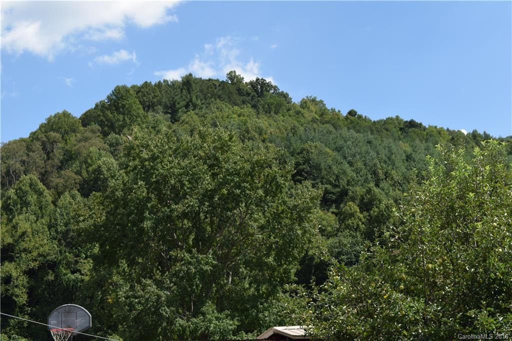 1681 Allens Creek Road - Photo 24