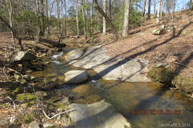147 Cane Break Creek None #2D - Photo 16