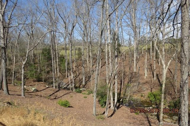 147 Cane Break Creek None #2D - Photo 5
