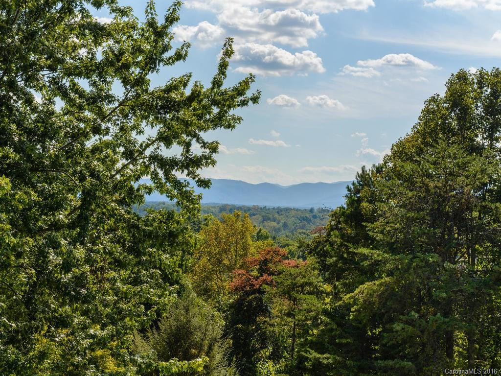 305 Piney Mountain Drive #F-3 - Photo 21