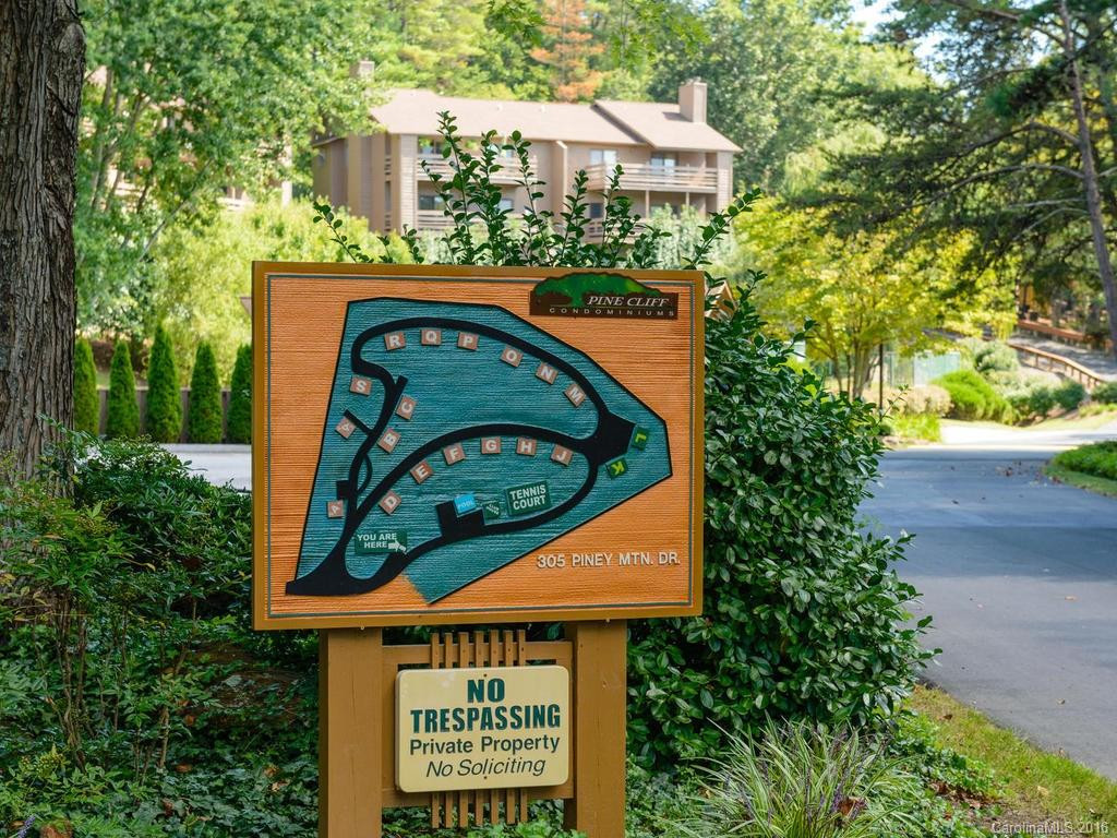 305 Piney Mountain Drive #F-3 - Photo 23