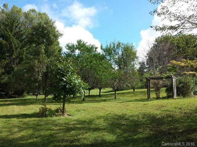 207 Lichen Lane #50 - Photo 6