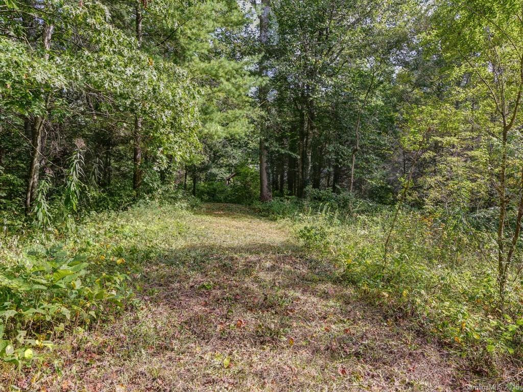 1028 Reems Creek Road - Photo 18