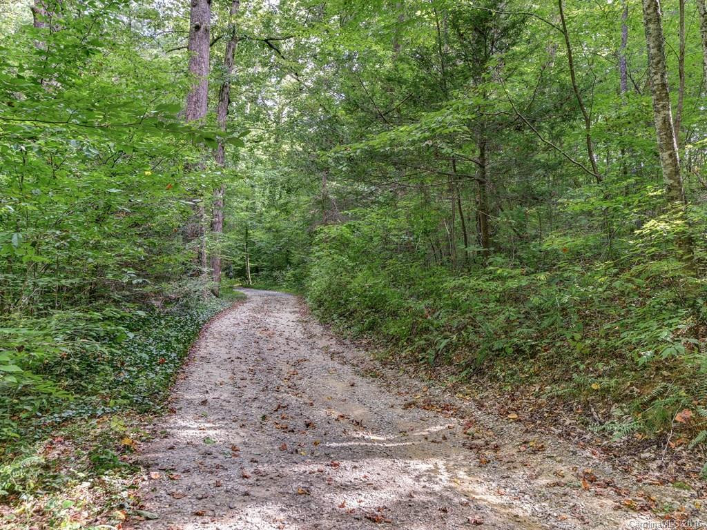 1028 Reems Creek Road - Photo 21