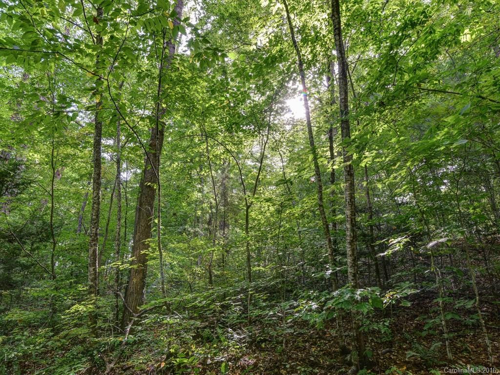 1028 Reems Creek Road - Photo 22