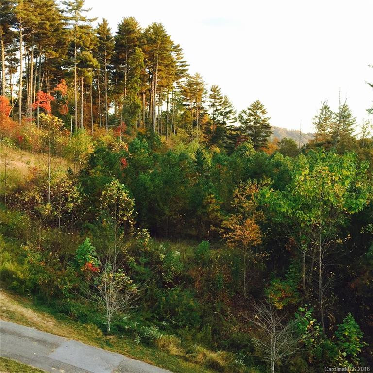 102 Gap Creek Road - Photo 22