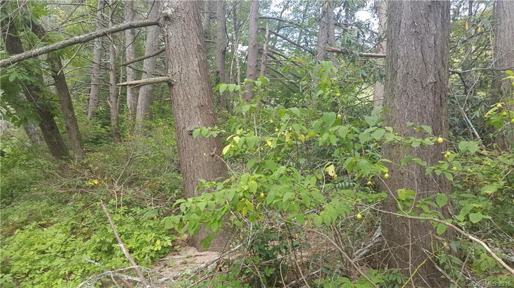 10937 Cruso Road - Photo 6