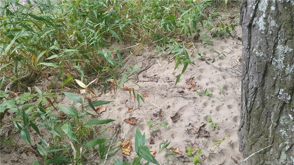10937 Cruso Road - Photo 8
