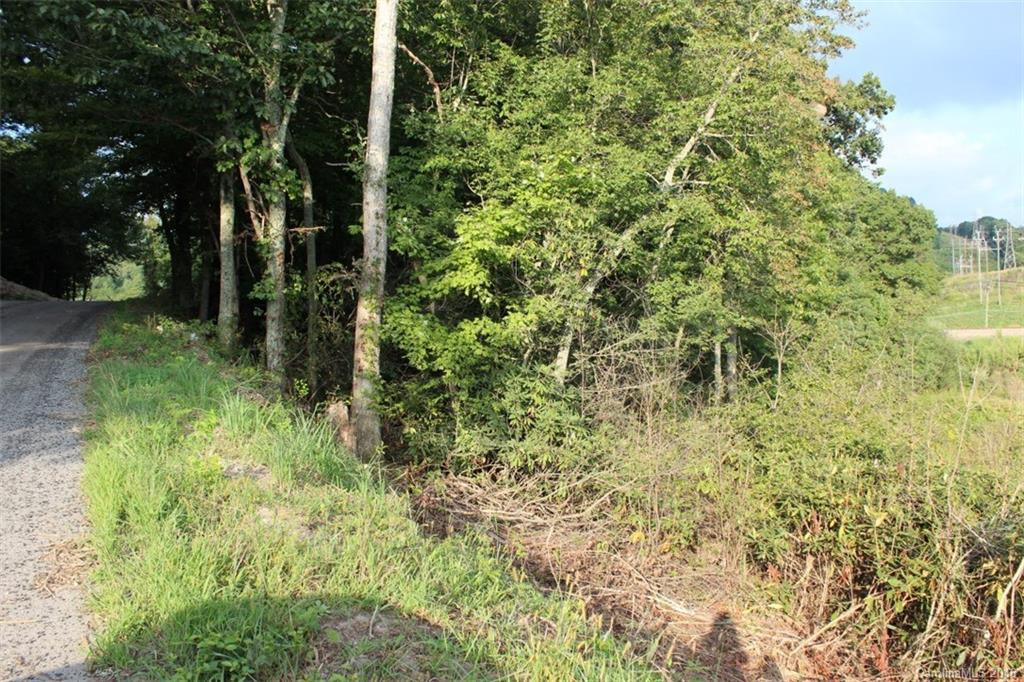 156 Teresa Lane - Photo 22