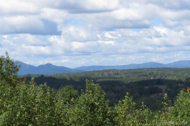 229 Stroud Mountain Trail #19YY - Photo 2