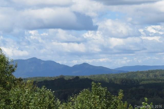 229 Stroud Mountain Trail #19YY - Photo 3