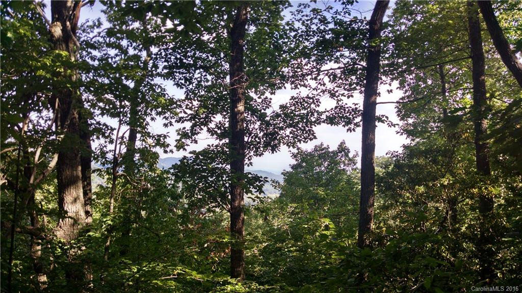 119 Pinnacle Mountain Road - Photo 3