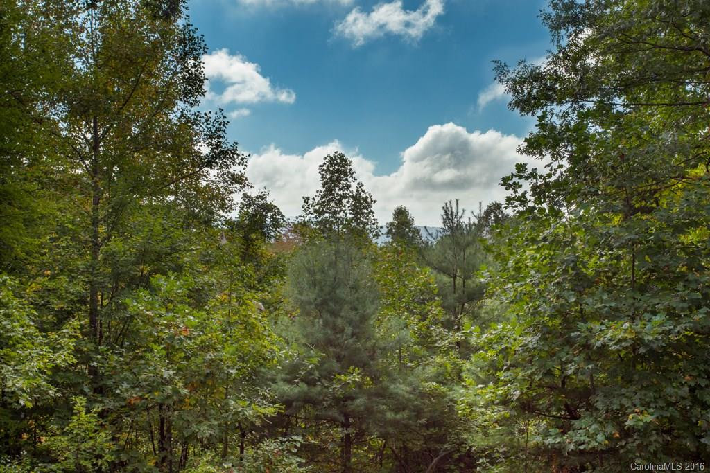 109 Whispering Creek Lane - Photo 3