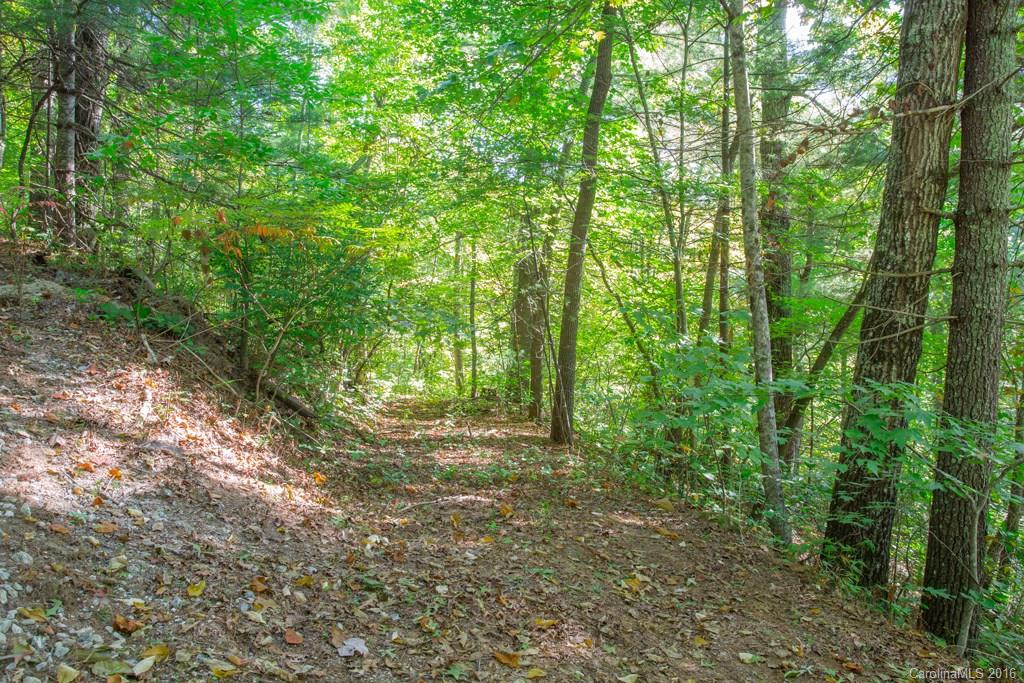 109 Whispering Creek Lane - Photo 23