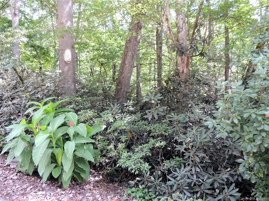 303 Brightwater Heights Drive - Photo 4