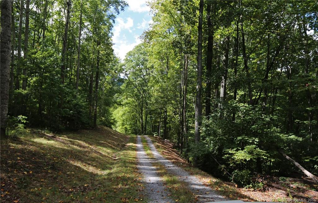 19997 NC 209 Highway - Photo 22