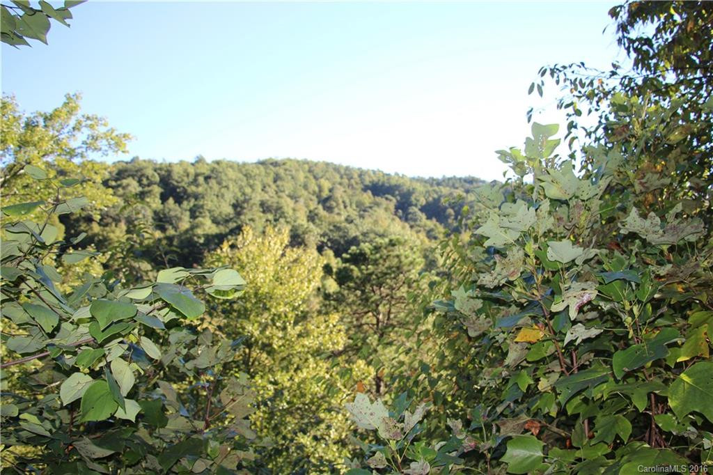 11 Canopy Lane - Photo 16
