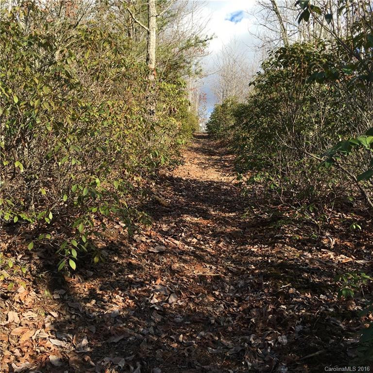 4527 Bethlehem Road - Photo 15