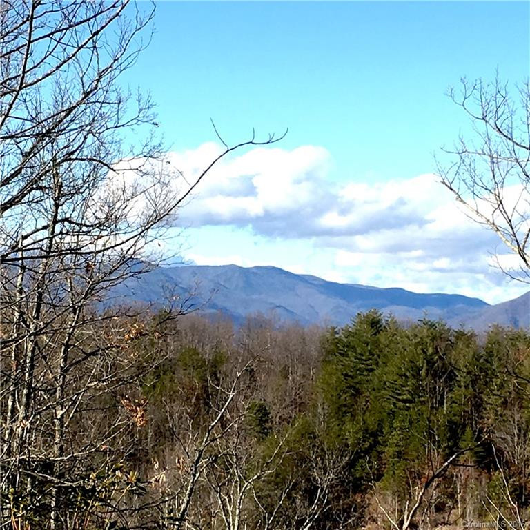 4527 Bethlehem Road - Photo 3