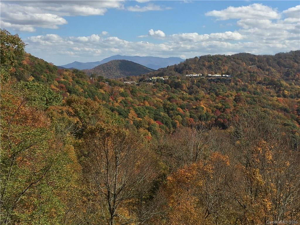 649 Pisgah Pass #300 - Photo 2