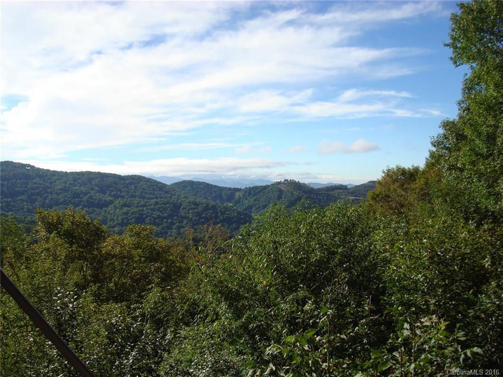 649 Pisgah Pass #300 - Photo 18