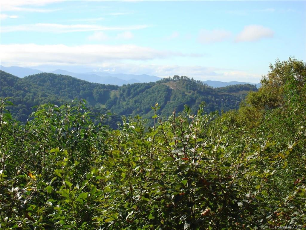 649 Pisgah Pass #300 - Photo 3