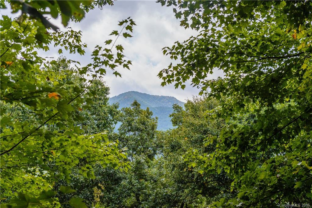 52 Mountain Crest Drive - Photo 3