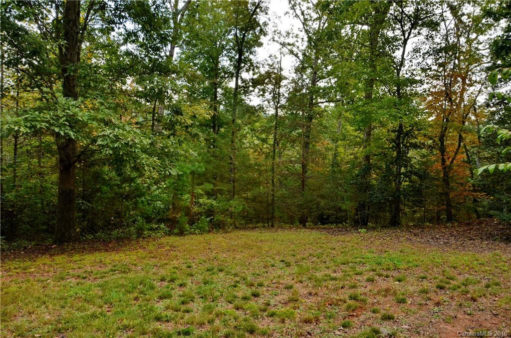 117 Laurel Lakes Parkway - Photo 22