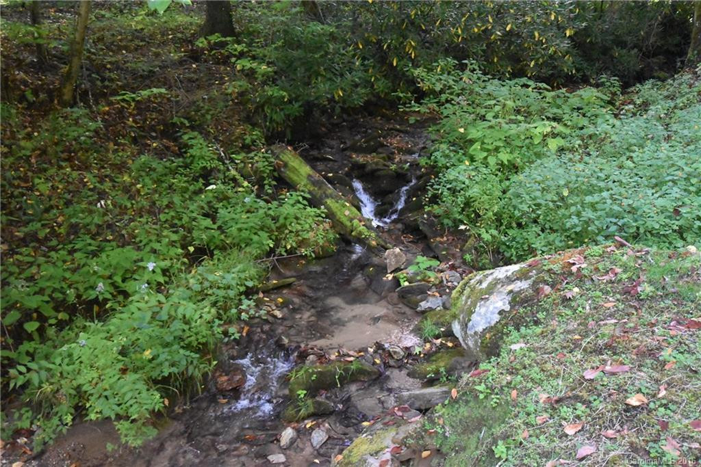 169 Wayah Zooshuga Road #30 - Photo 7