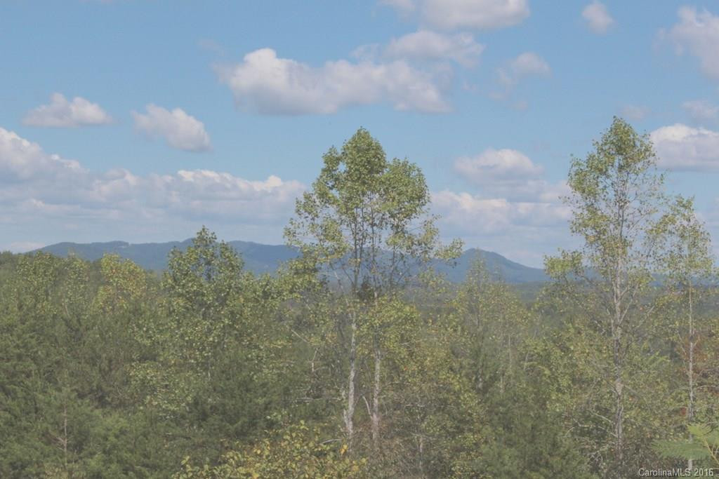 687 Moss Road - Photo 13