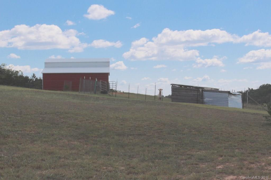 687 Moss Road - Photo 3