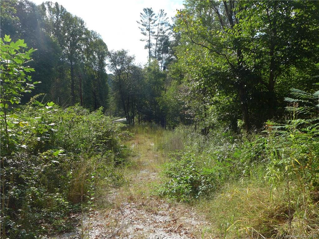 21 Lyman Lane - Photo 5