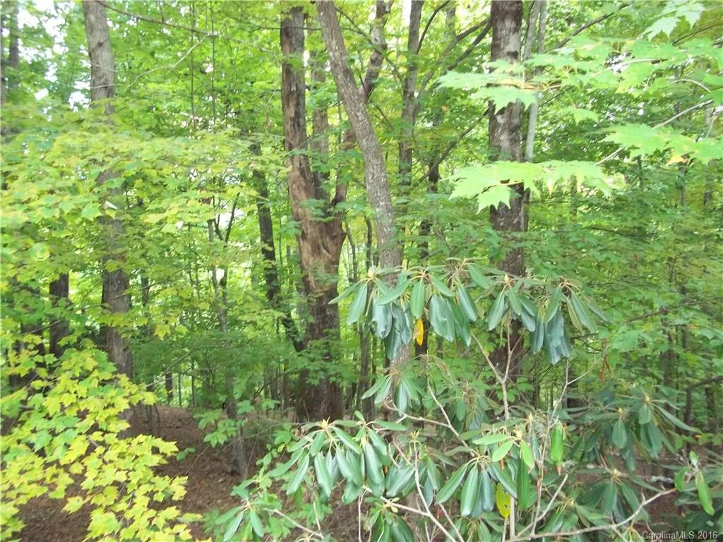 114 Moytoy Lane #155/01 - Photo 12