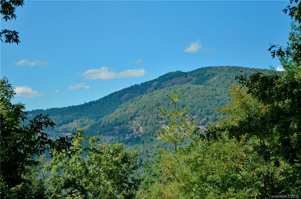 517 Parsons View #4 - Photo 2