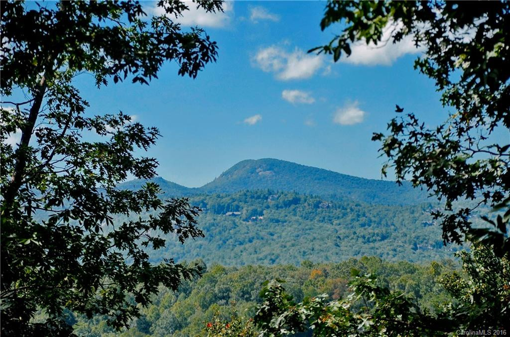 517 Parsons View #4 - Photo 23