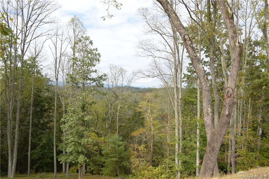 3300 Bend of Ivy Road - Photo 23