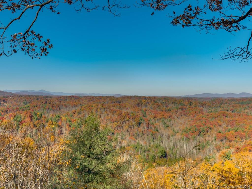 398 Laurel Mountain Trail #3 - Photo 2