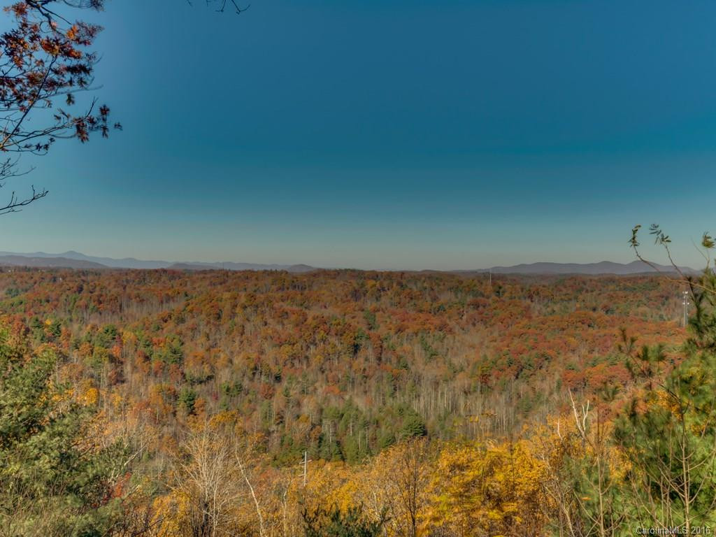 398 Laurel Mountain Trail #3 - Photo 3