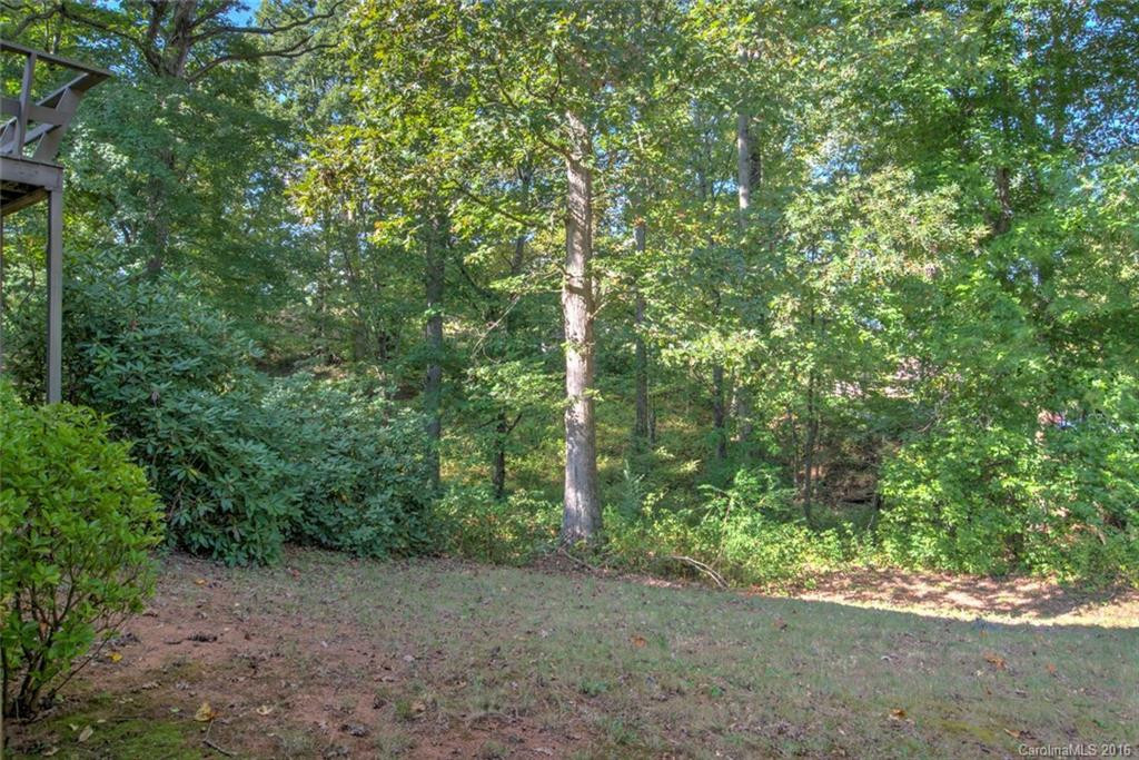 41 Dix Creek Lane - Photo 19