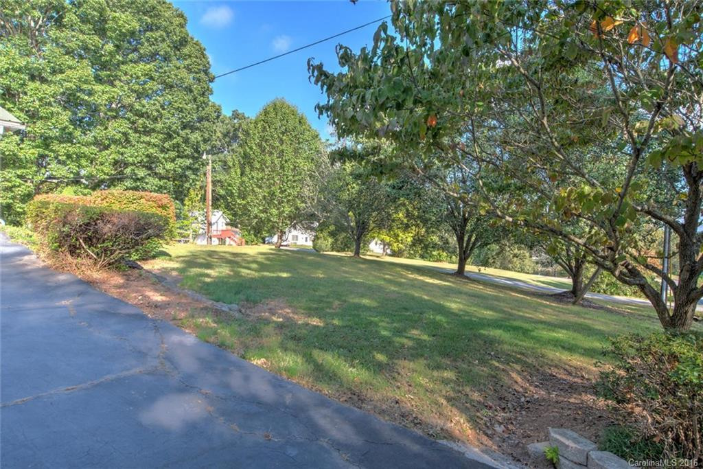 41 Dix Creek Lane - Photo 4