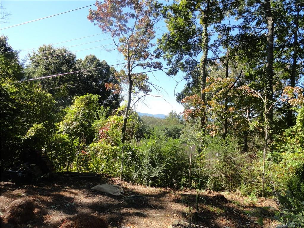 209 Dogwood Lane - Photo 4
