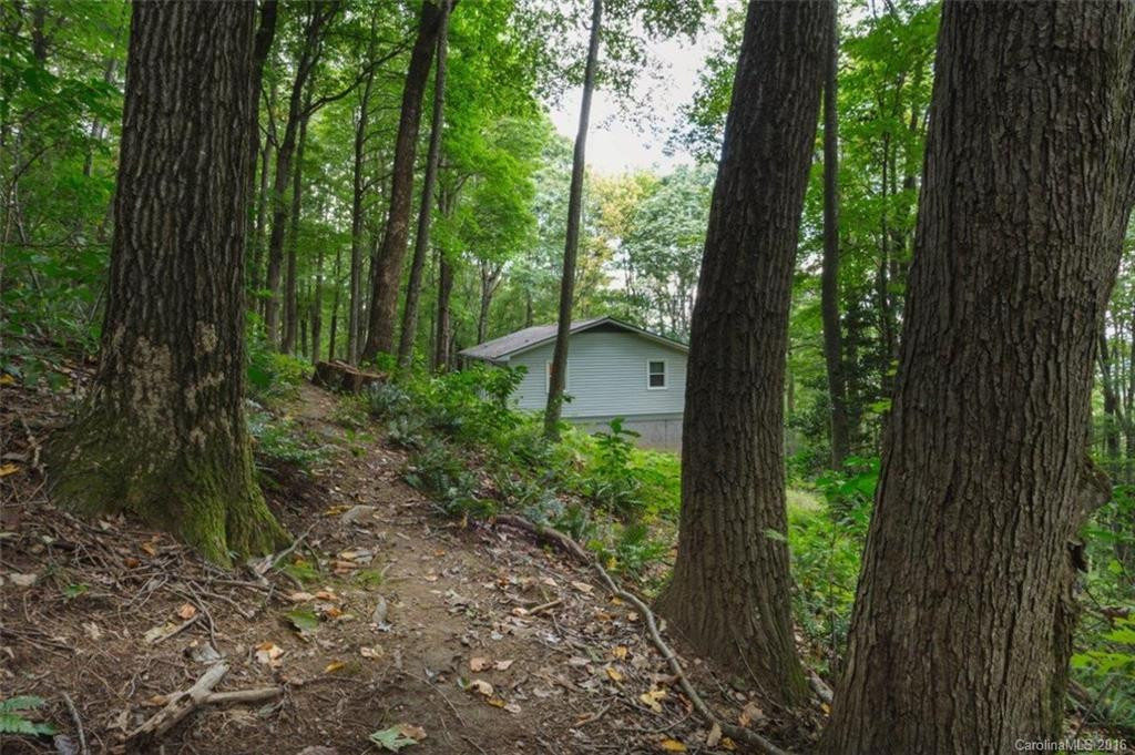 7 Mountain Site Extension - Photo 21