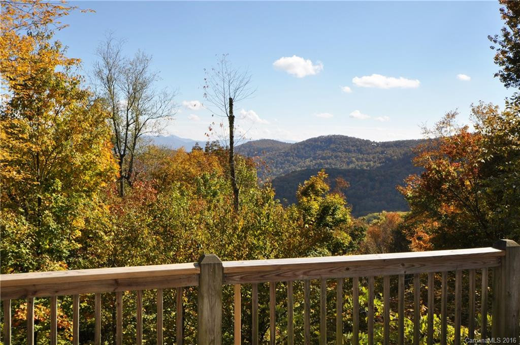 193 Birch Springs Lane #221 - Photo 4