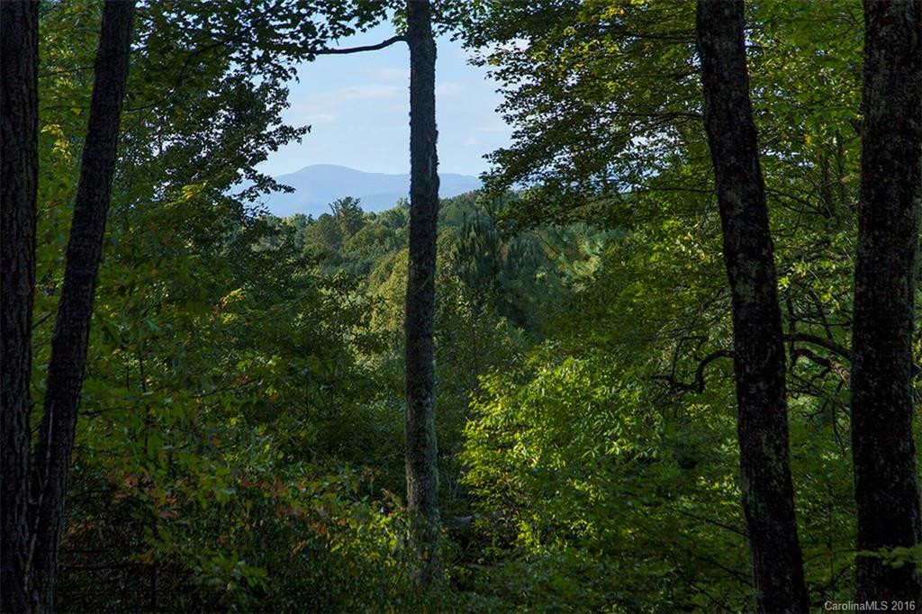4493 Connestee Trail - Photo 4