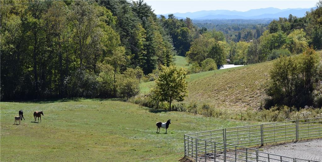 516 Roy Forrester Road - Photo 4
