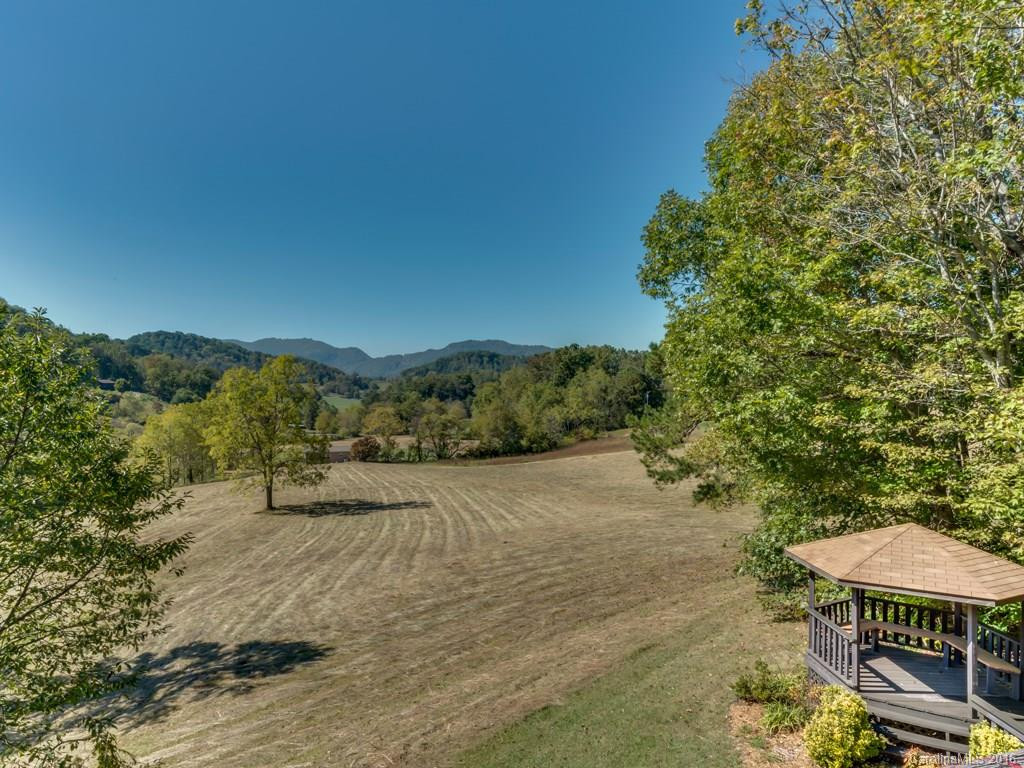 3296 Old Henson Cove Road - Photo 10