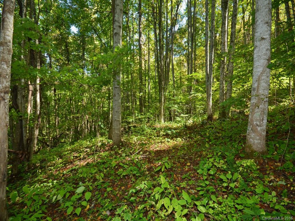 441 Apple Creek Road - Photo 18