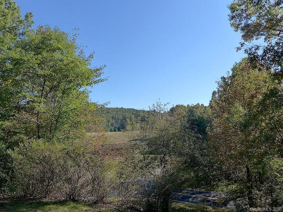 679 Solomon Jones Road - Photo 2
