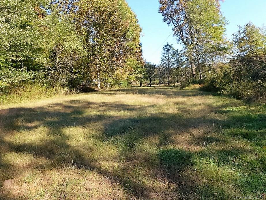 679 Solomon Jones Road - Photo 8